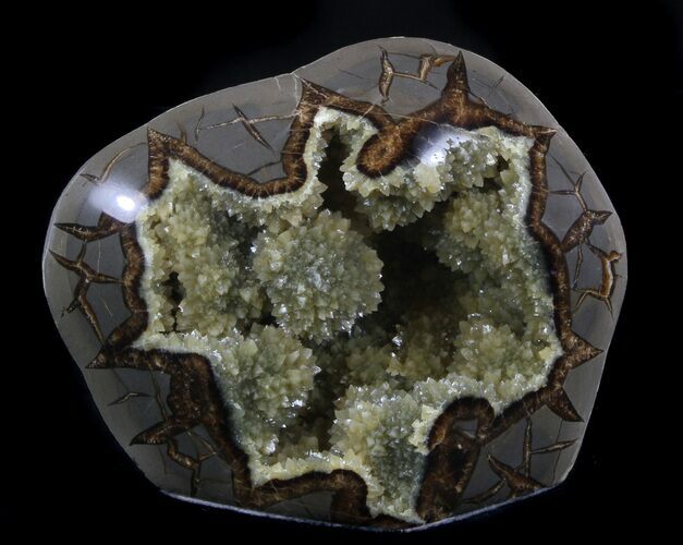 Calcite Crystal Filled Septarian Geode - Utah #37233